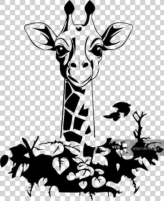 白色背景上卡通丛林长颈鹿图片素材