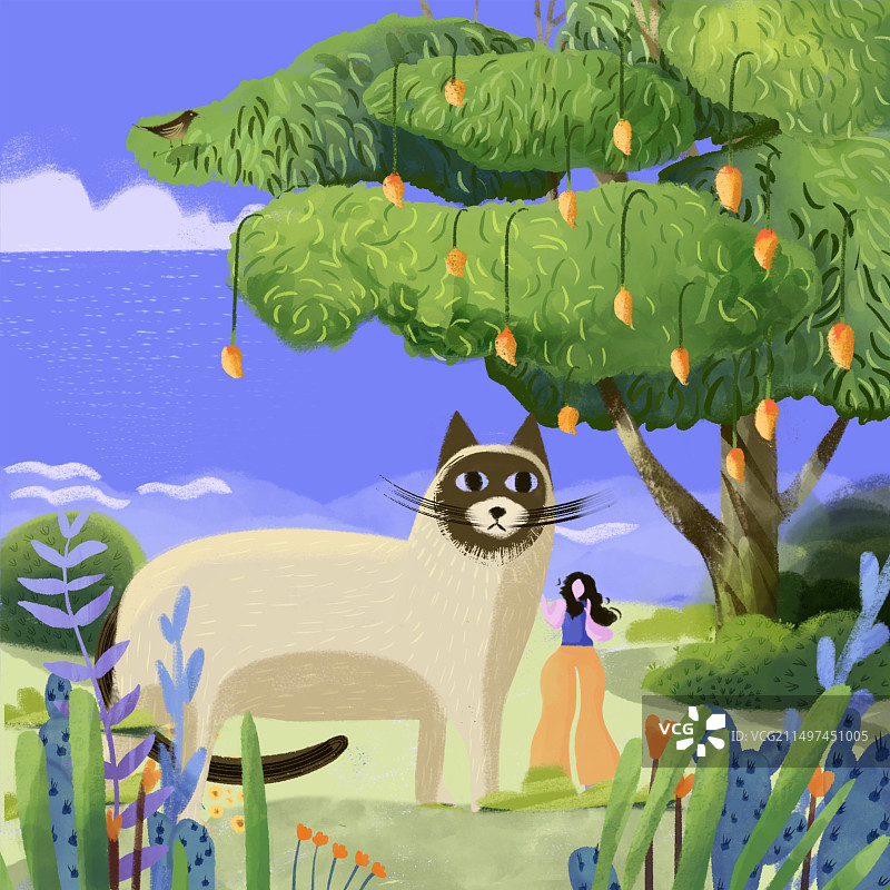芒果树与猫图片素材