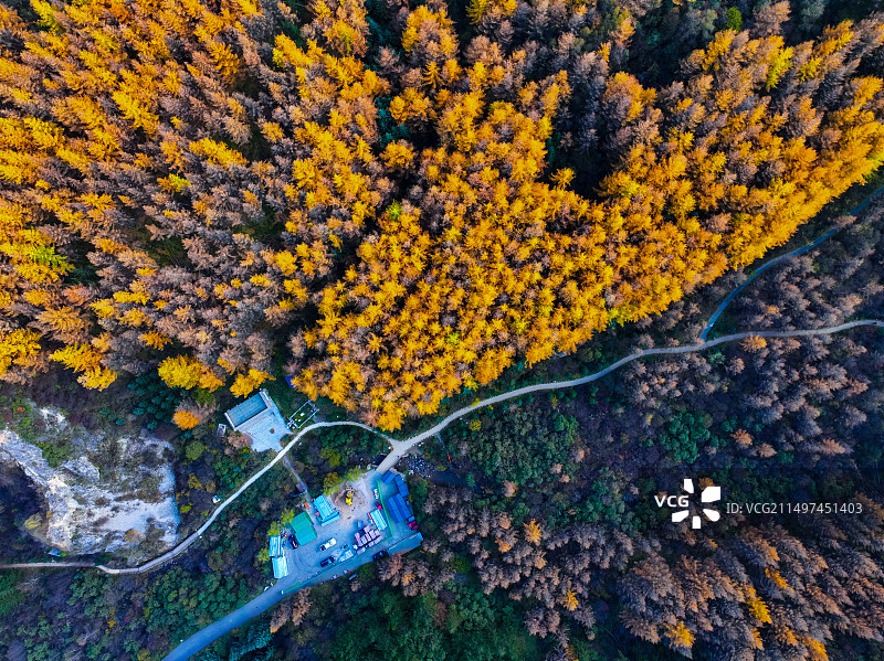 航拍秋季的森林图片素材