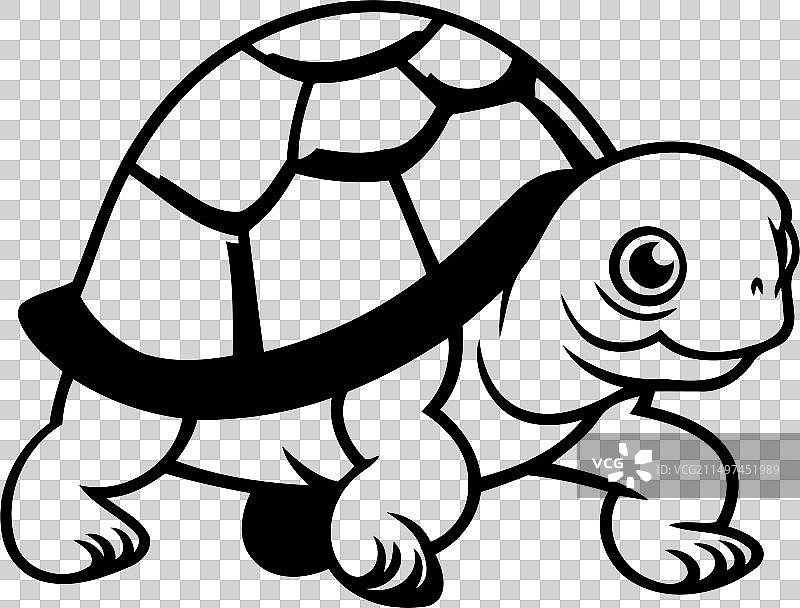 白色背景下的卡通乌龟图片素材