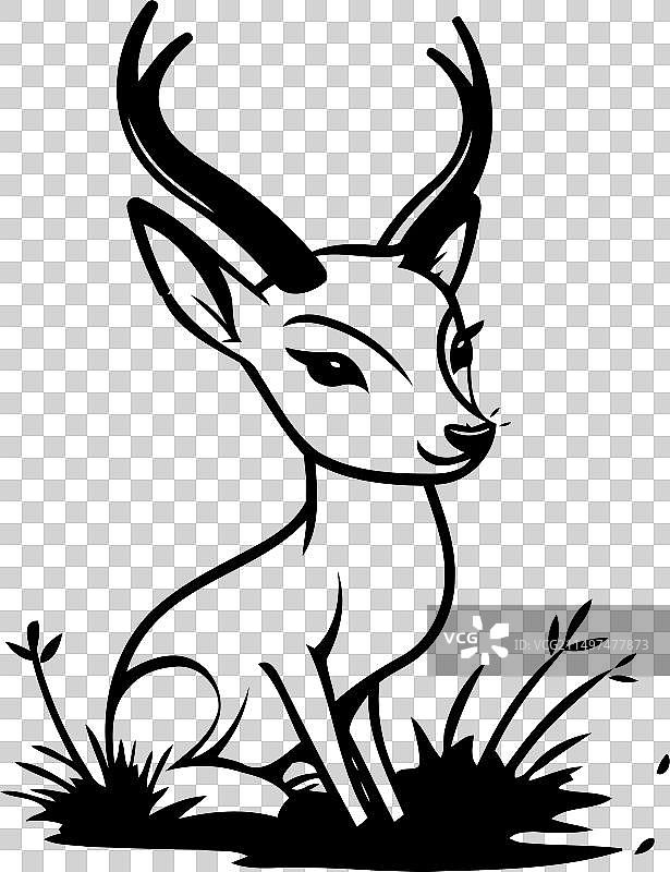 草地背景上的小羚羊图片素材