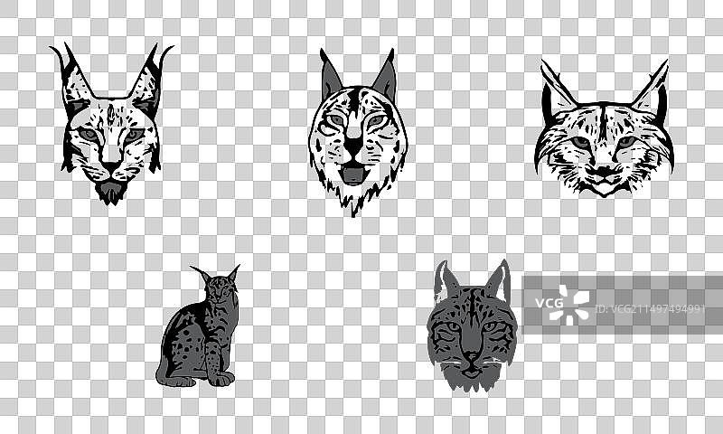 巴尔干山猫图标艺术eps 10和JPG图片素材