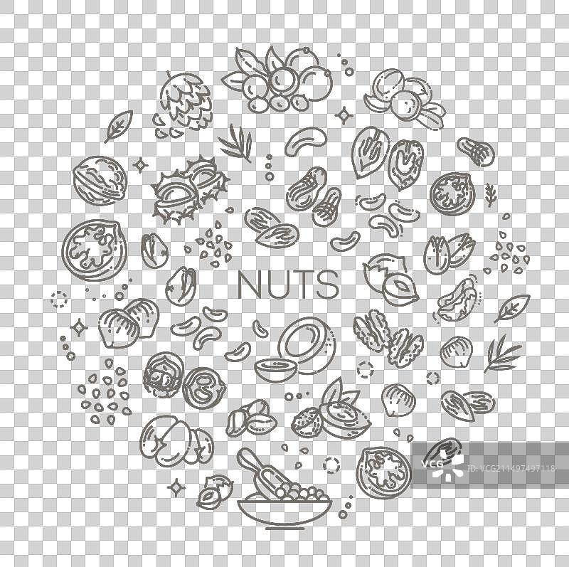 白色背景下的各种坚果合集图片素材