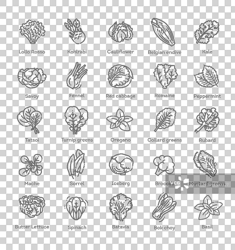 健康素食叶子拼盘图片素材