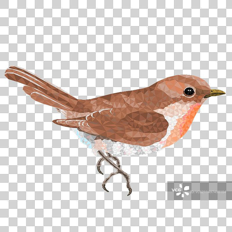 小鸟莺雀图片素材