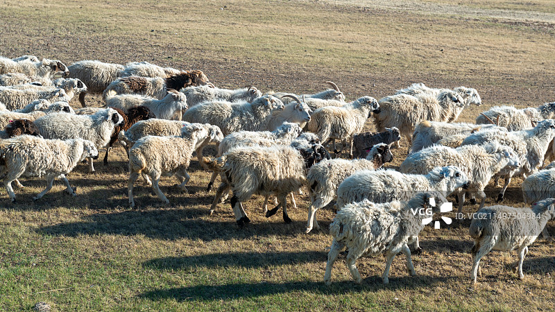 呼伦贝尔图片素材