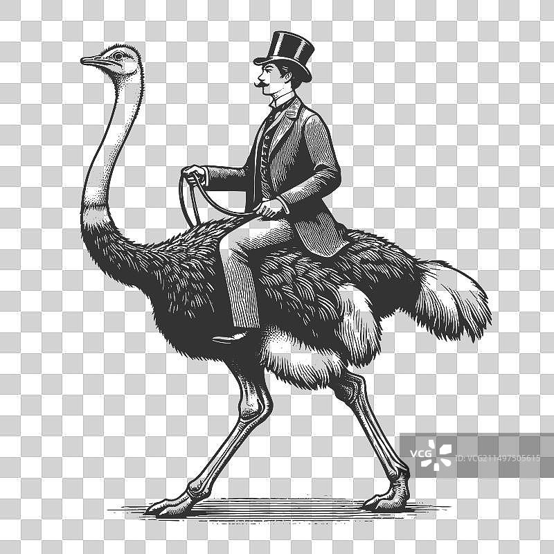 头戴礼帽骑鸵鸟的男士雕刻图片素材