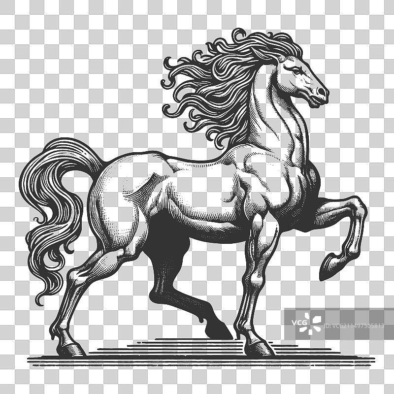 奔跑的骏马雕刻图片素材