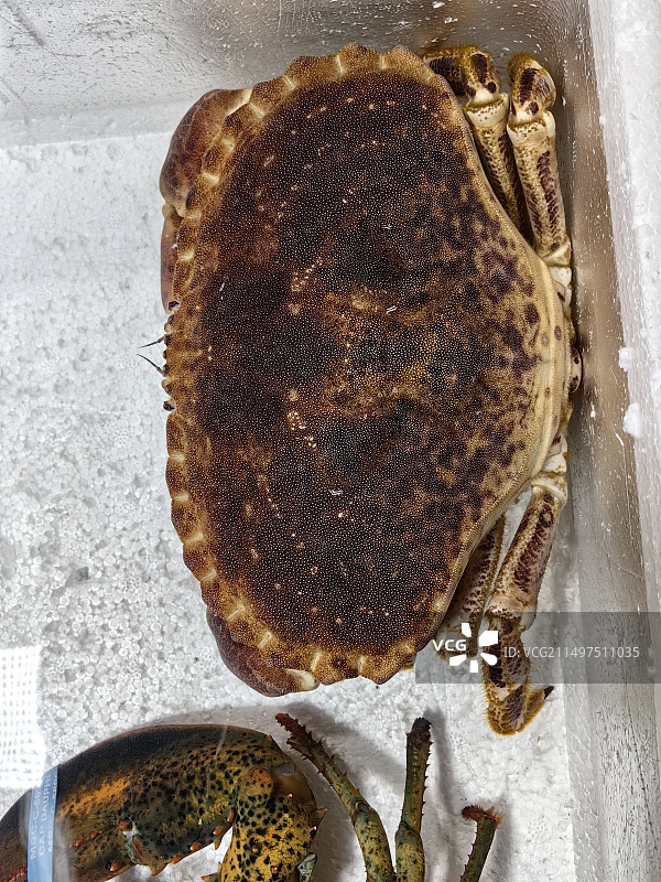 海鲜市场售卖的面包蟹图片素材