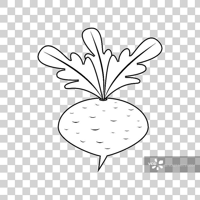 甜菜根蔬菜线条轮廓图片素材