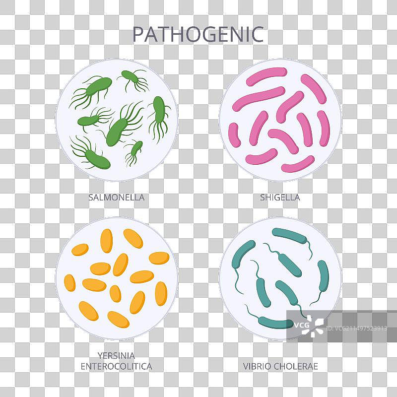 病原细菌卡通生物图片素材