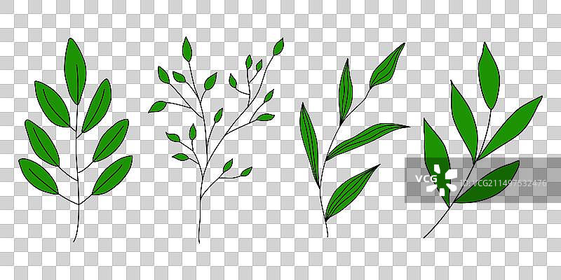 一组不同带叶子的涂鸦树枝图片素材