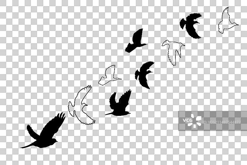 手绘飞鸟群剪影图片素材