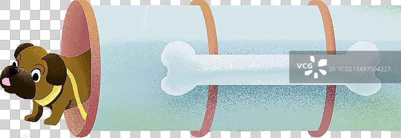 爬管道的宠物狗图片素材