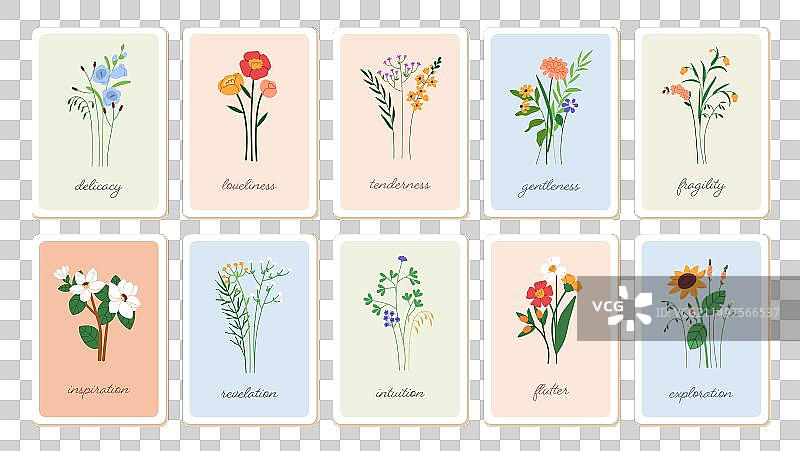 精致的春季花卉卡片背景套装图片素材