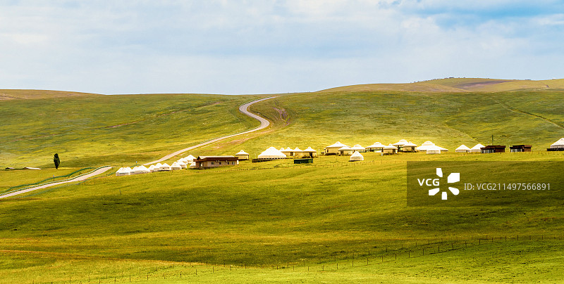 金色的巴音布鲁克草原图片素材