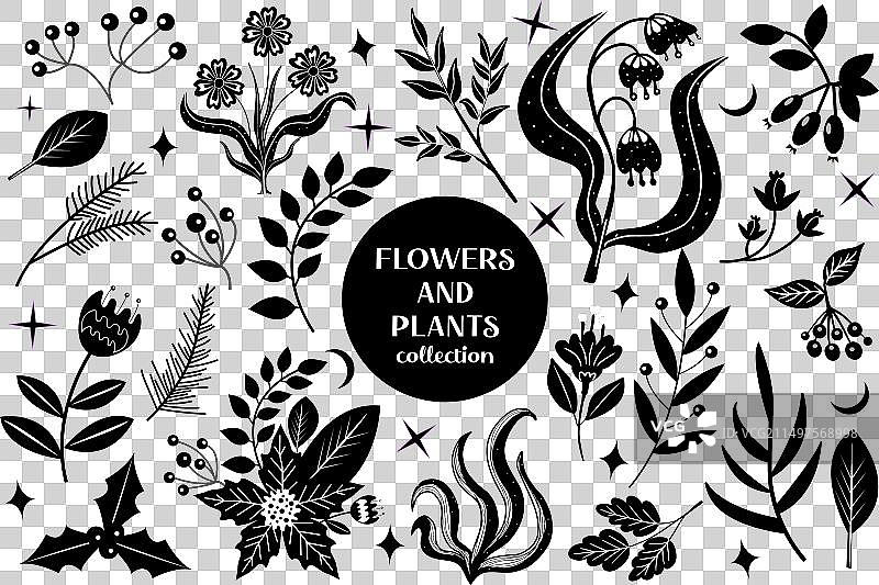 黑色抽象花卉叶子植物图案图片素材
