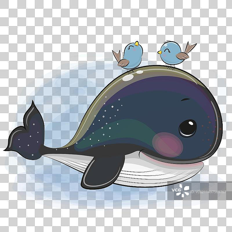 卡通黑鲸和两只小鸟图片素材