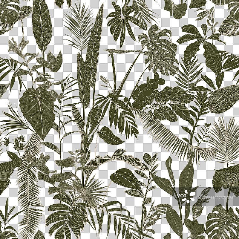 优雅热带树叶无缝图案图片素材