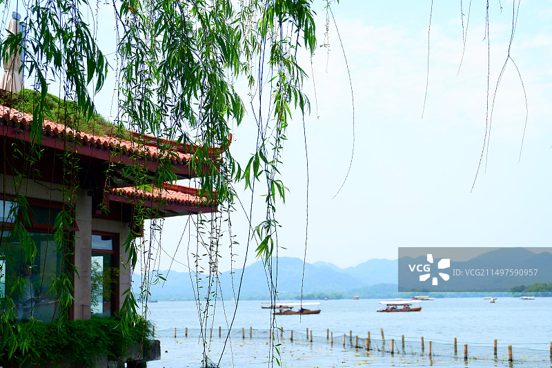 杭州西湖的初夏图片素材