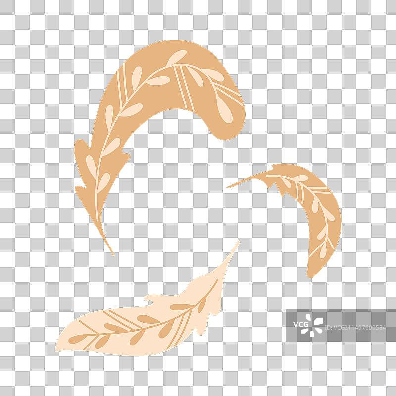 柔和色彩的民间扁平风羽毛图片素材