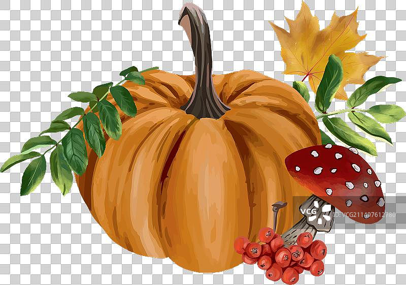 南瓜、蘑菇、枫叶、 rowan 树叶图片素材