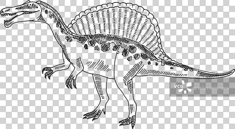 史前棘龙手绘草图图片素材