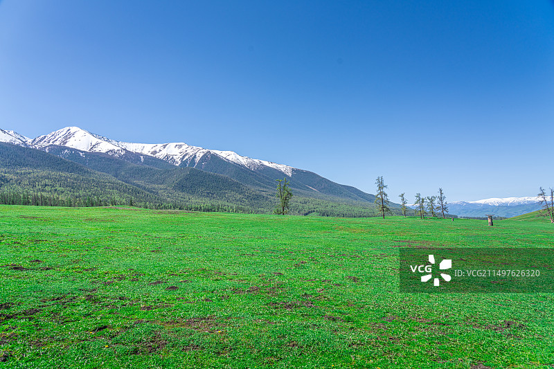 电视剧《我的阿勒泰》取景地，喀纳斯，禾木村，白哈巴，草原，雪山，蓝天，小木屋图片素材