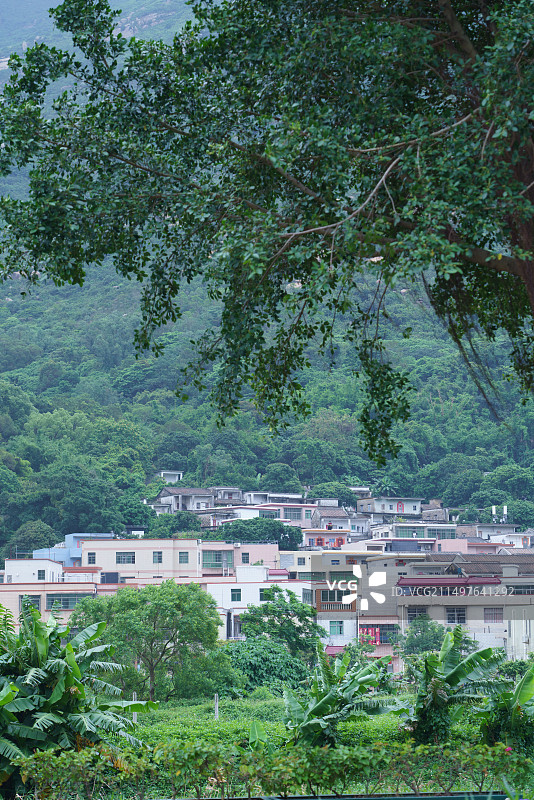 山脚下的植物掩映的乡村建筑群图片素材