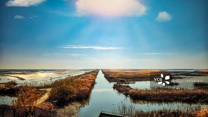 盐城丹顶鹤湿地生态旅游区图片素材