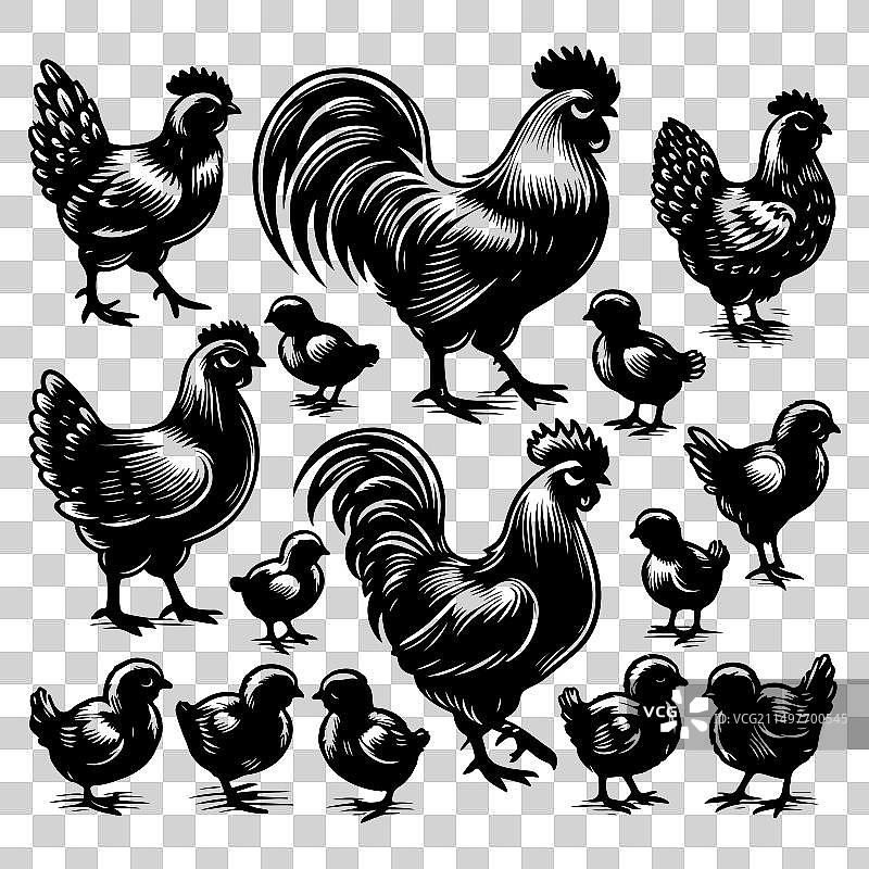 鸡剪影图案合集图片素材