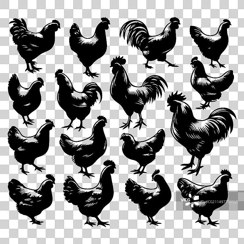 鸡剪影图案合集图片素材