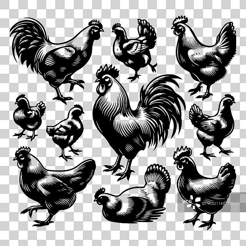 鸡剪影图案合集图片素材