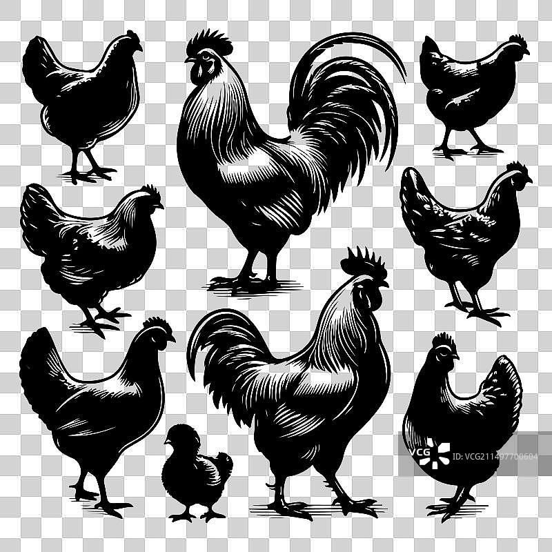 鸡剪影图案合集图片素材