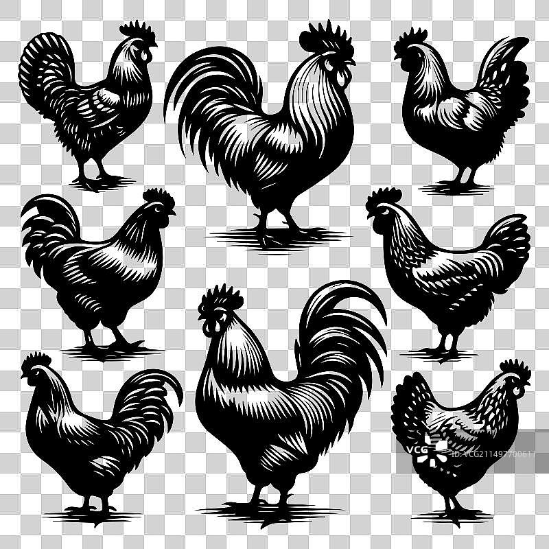 鸡剪影图案合集图片素材