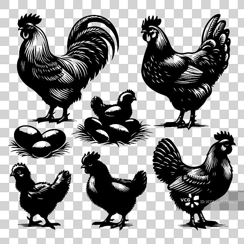 鸡剪影图案合集图片素材