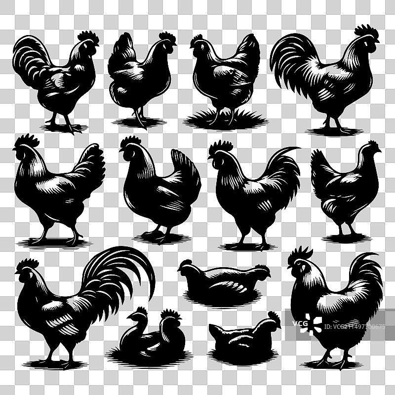 鸡剪影图案合集图片素材