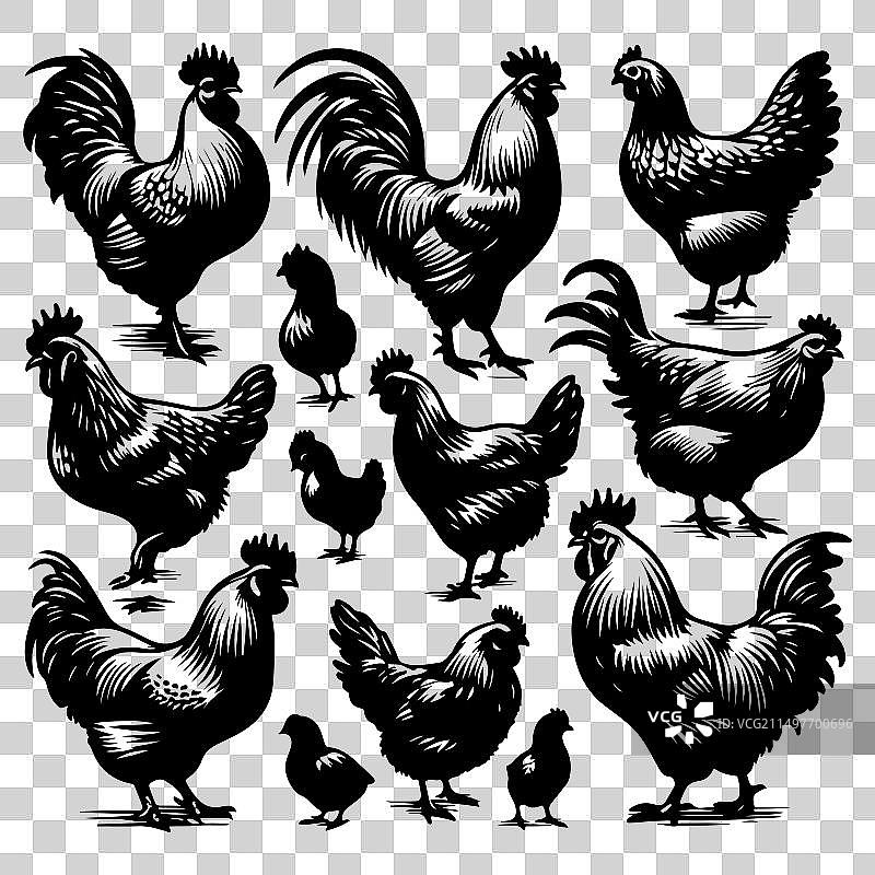 鸡剪影图案合集图片素材