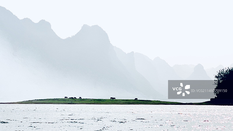 很有意境的湖边马吃草《渠洋湖》图片素材