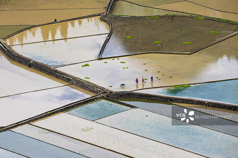 春耕图图片素材