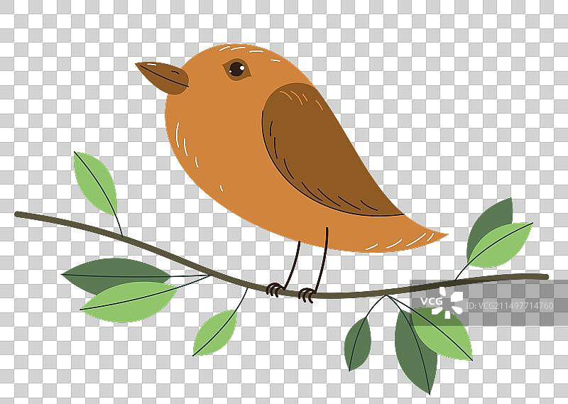 树枝上的可爱小鸟图片素材