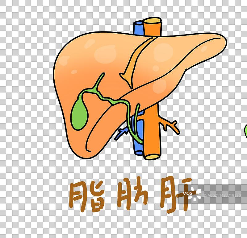 脂肪肝，描边风格简笔画设计元素图片素材
