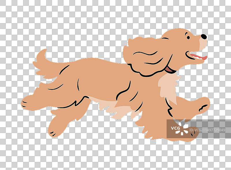 长耳朵的可爱可卡犬图片素材