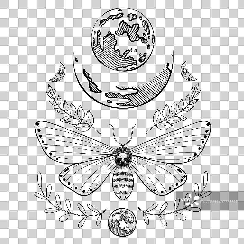 带有满月的飞蛾的神秘绘画图片素材