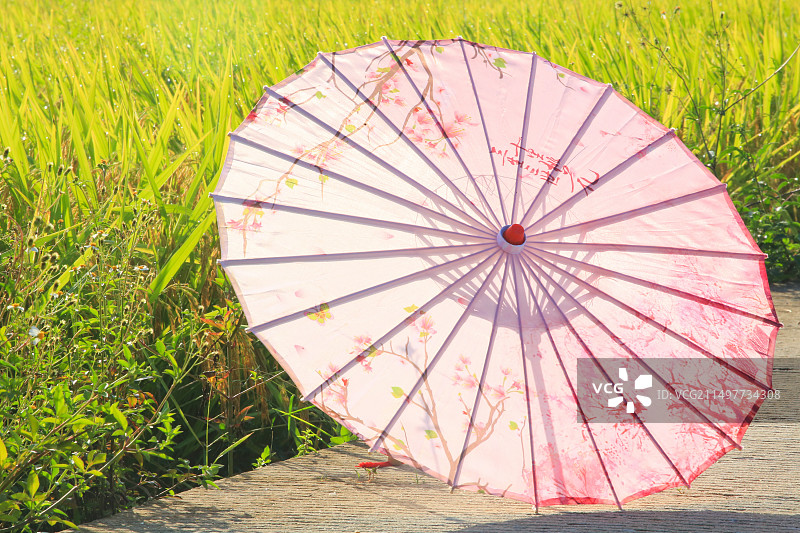 油纸伞图片素材