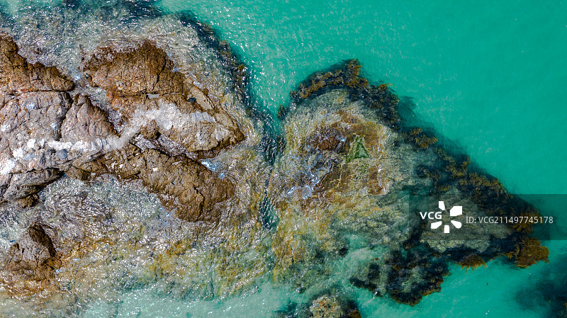 深圳桔钓沙图片素材