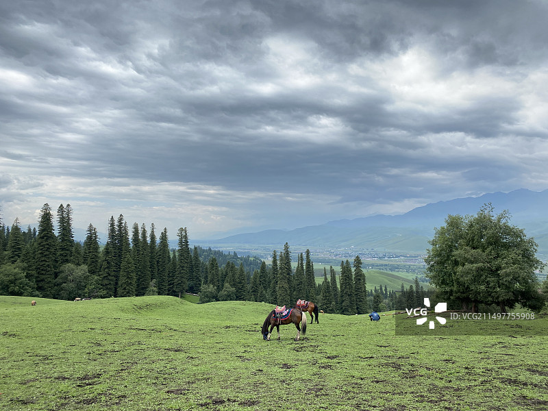 高山与草地图片素材