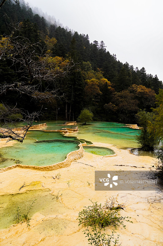 四川阿巴黄龙景区钙化景观图片素材