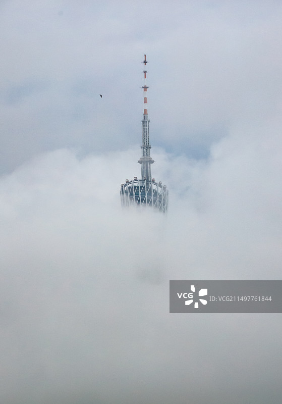 海燕飞越广州塔图片素材