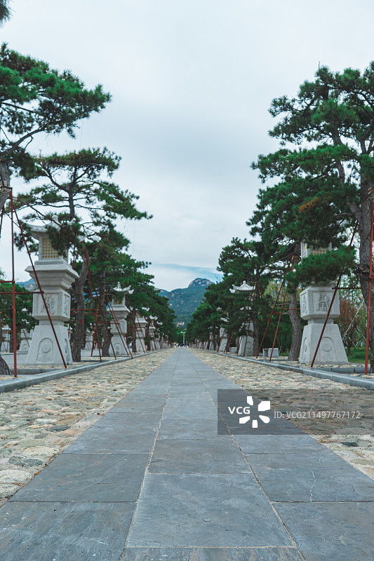 中国山东泰安著名景点泰山旅游风景区，岱庙岱北广场的步行道路和两侧的树木，户外白昼无人图像摄影图片素材